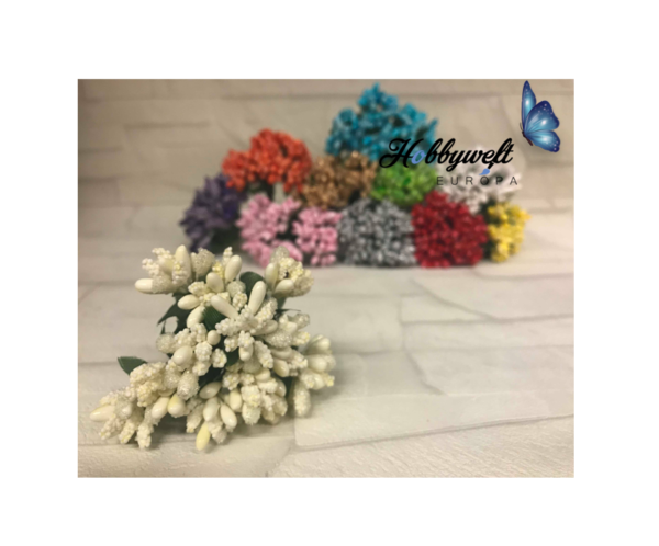 Knospen Creme 12 Stück