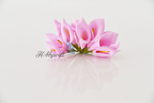 Callas Blumen 10 stk Rosa
