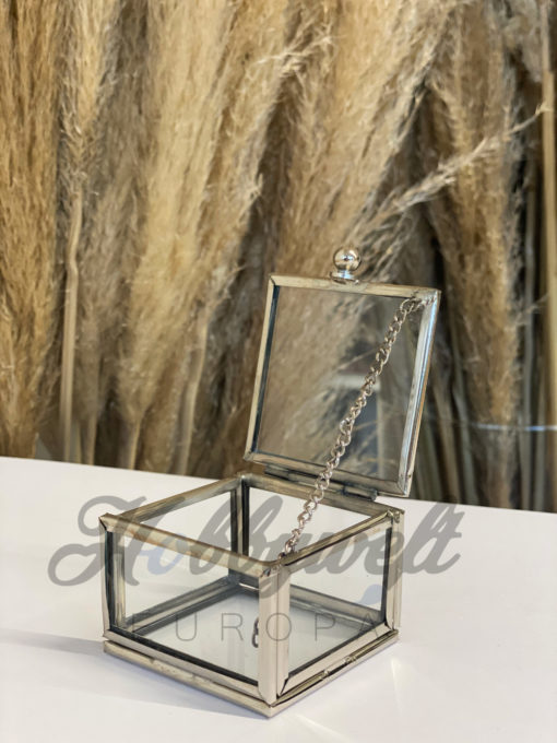 Glasbox viereckig Silber klein