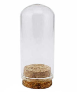 Oval Reagenzglas