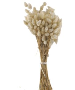 Samtgras Blumenbündel Natur