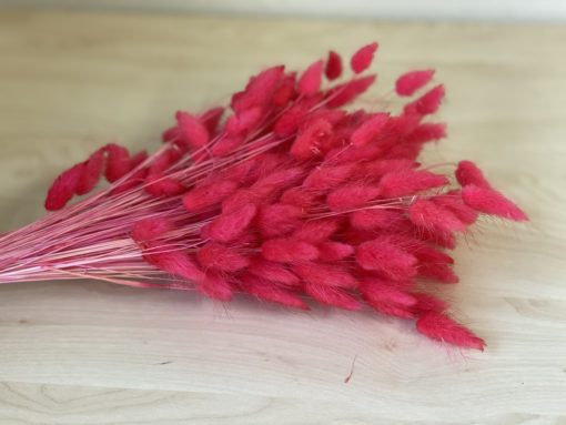 Samtgras Blumenbündel Rot