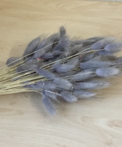 Samtgras Blumenbündel Grau