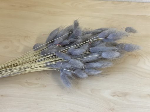 Samtgras Blumenbündel Grau