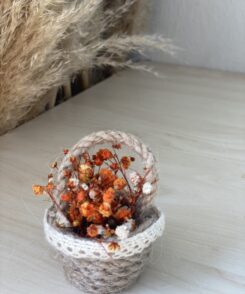 Schleirkrautkörbchen orange 1 stk