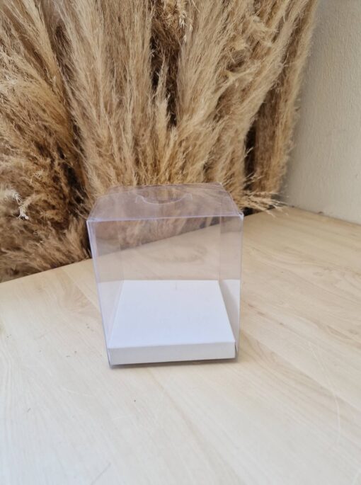 Asetatschachtel Transparent/Weiss – Big